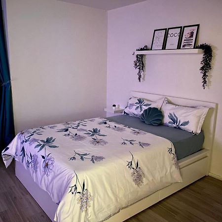 2 Zimmer Wohnung Im Herzen Von 布伦瑞克 外观 照片